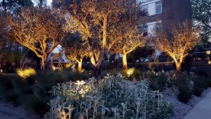 Coniston Court - Tree Uplighting