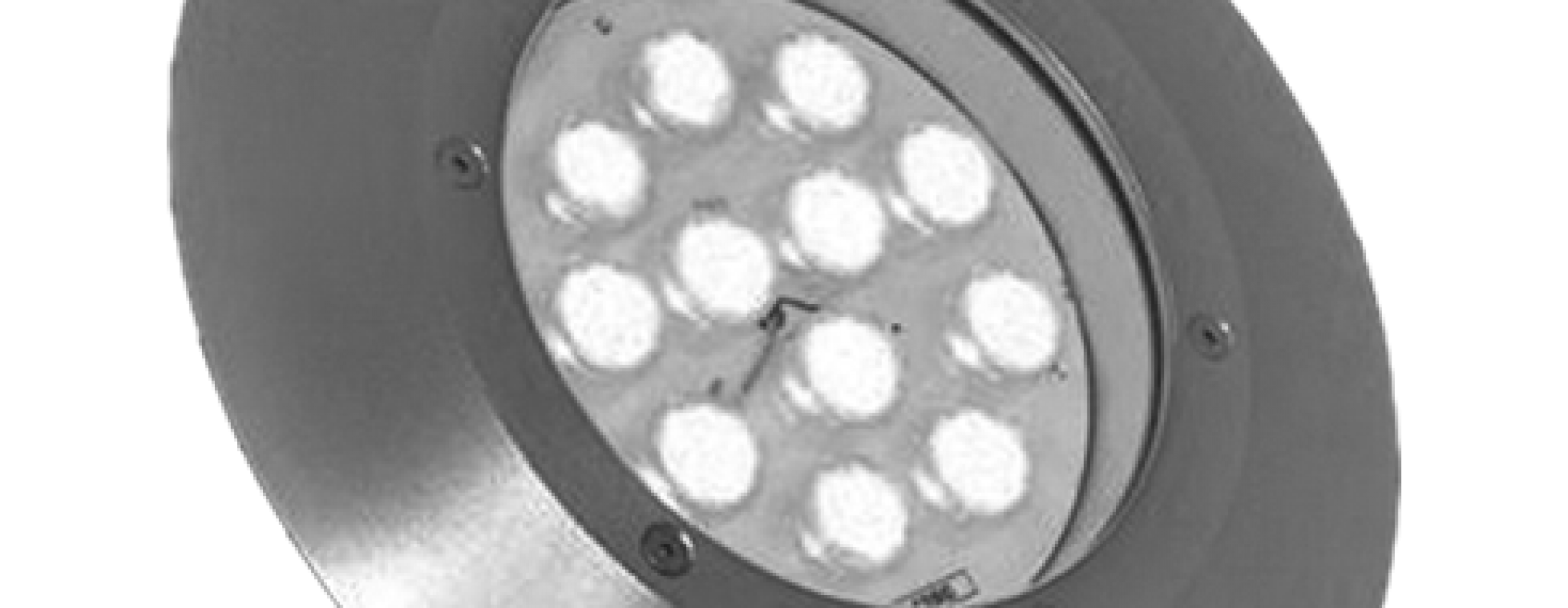 PolyFlood 12 Inground LED uplights LedZip Lighting LED Lighting